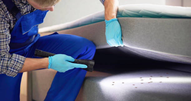 Professional Pest Control in Carpentersville, IL
